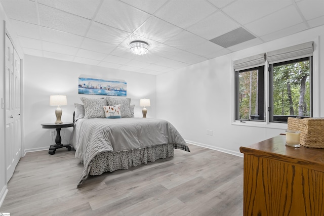 bedroom featuring light wood-type flooring, a drop ceiling, and a closet