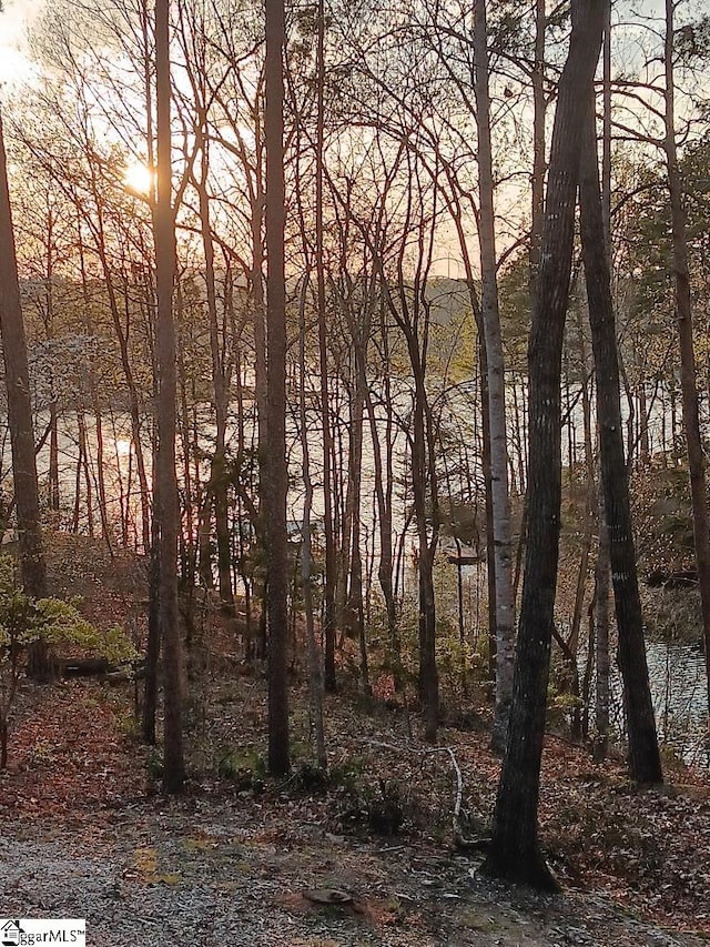 view of nature at dusk