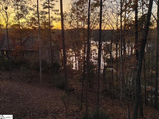 view of nature at dusk