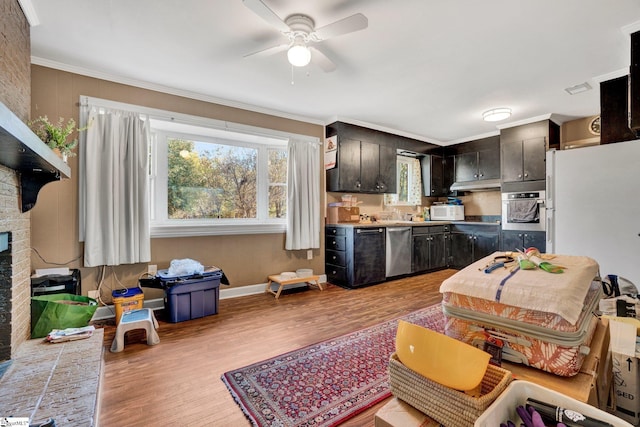 kitchen with ceiling fan, light wood-type flooring, ornamental molding, dark brown cabinetry, and stainless steel appliances