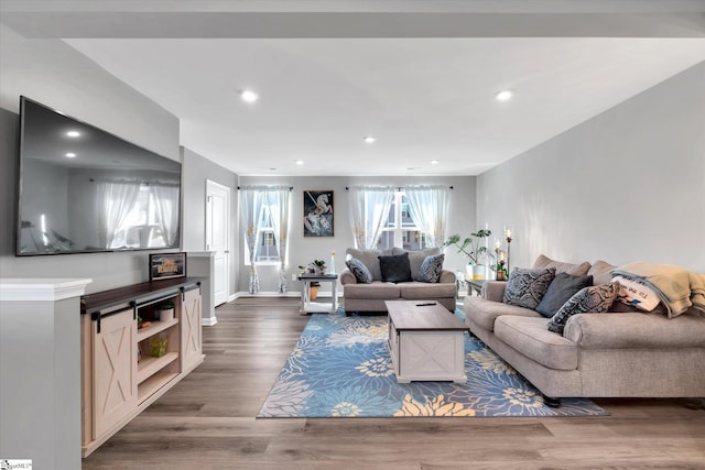 living room with dark hardwood / wood-style floors