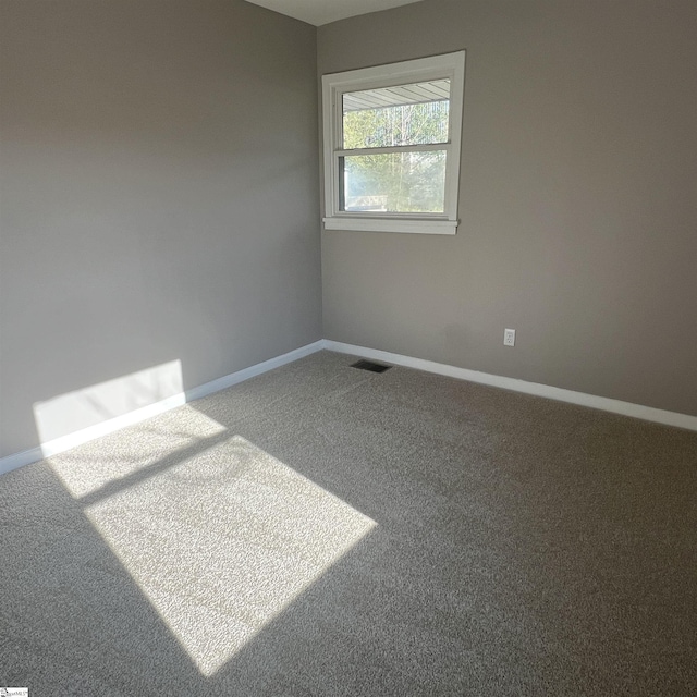 empty room featuring carpet