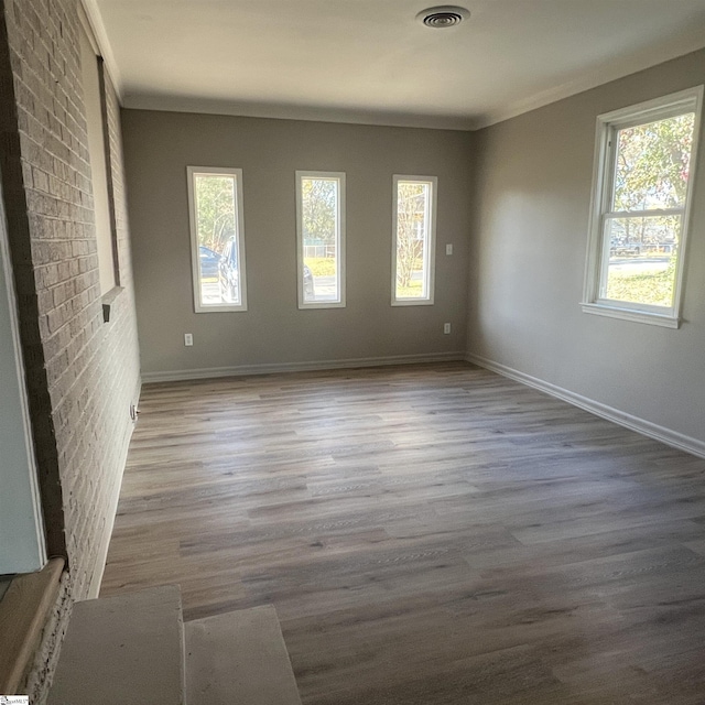 empty room featuring crown molding, plenty of natural light, and light hardwood / wood-style flooring