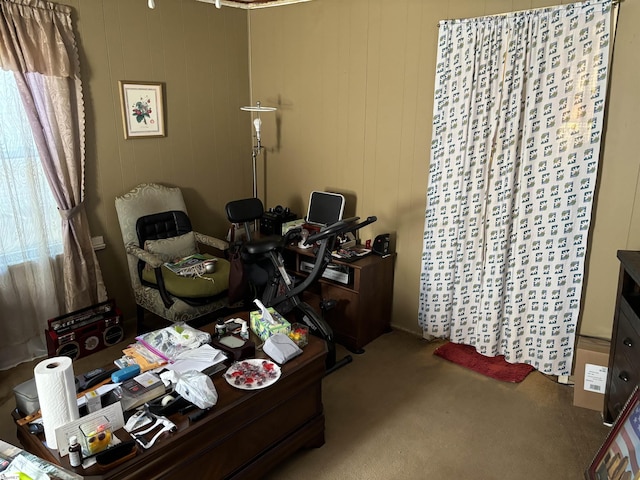 carpeted home office featuring wood walls