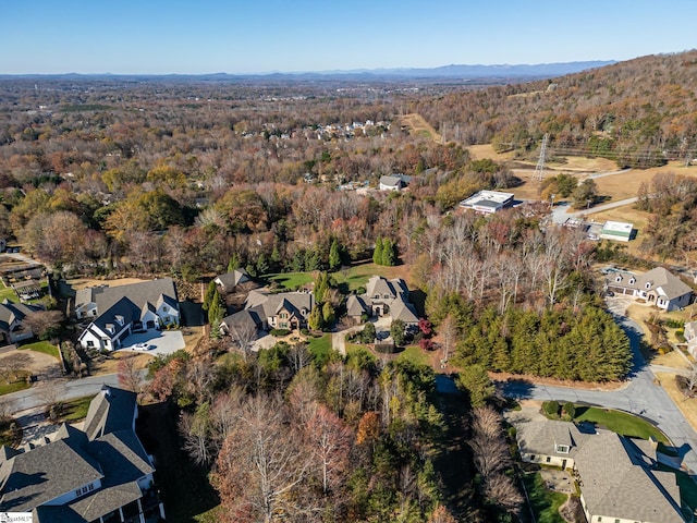 bird's eye view