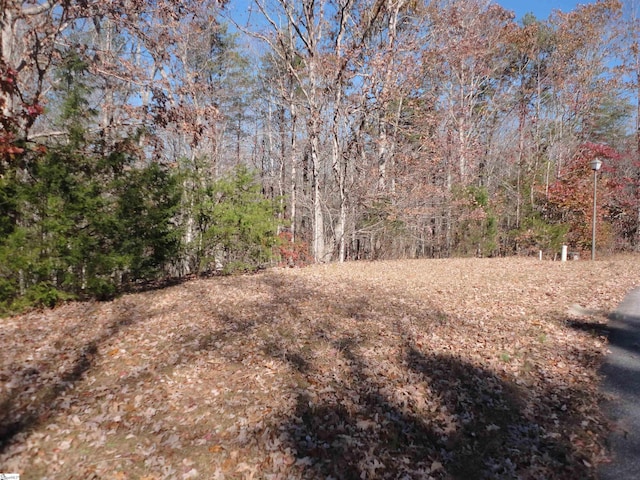 Listing photo 2 for 148 Timberstone Trl, Six Mile SC 29682