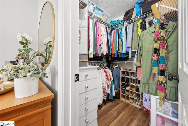 spacious closet featuring hardwood / wood-style flooring