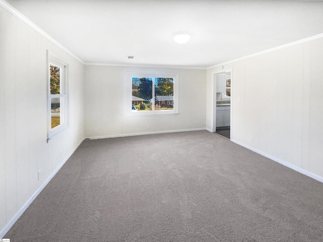 carpeted empty room featuring plenty of natural light and ornamental molding