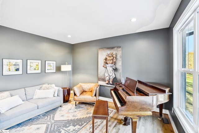 interior space featuring hardwood / wood-style floors and a wealth of natural light