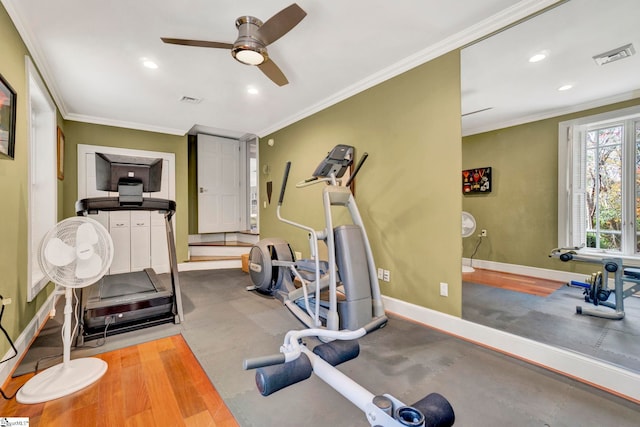 workout area with hardwood / wood-style flooring, ceiling fan, and crown molding