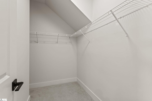 walk in closet with light colored carpet