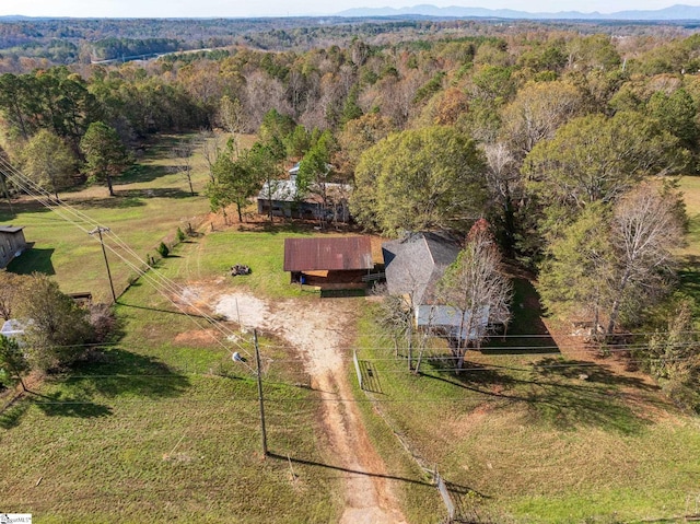 drone / aerial view