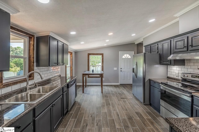 kitchen featuring plenty of natural light, stainless steel appliances, vaulted ceiling, and sink