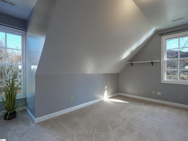 additional living space featuring light carpet and lofted ceiling