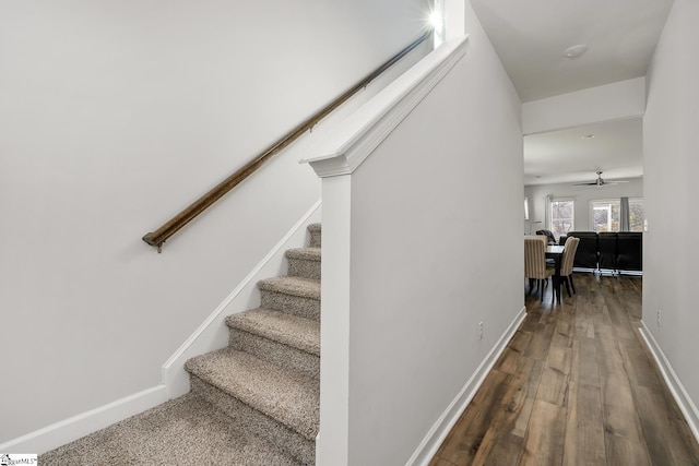 staircase featuring wood-type flooring and ceiling fan