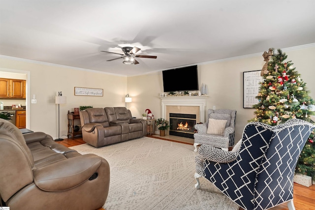 living room with hardwood / wood-style floors, ceiling fan, and ornamental molding