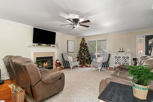 living room featuring ceiling fan, ornamental molding, and light wood-type flooring