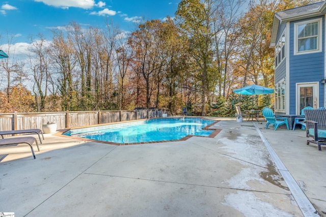 view of pool featuring a patio