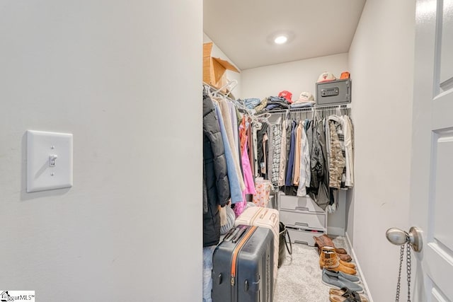 walk in closet featuring carpet floors