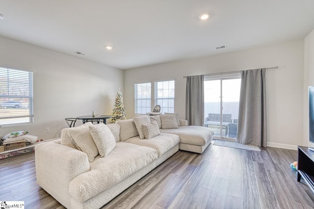 living room featuring hardwood / wood-style flooring