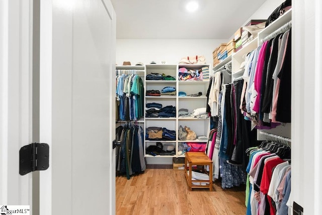 spacious closet featuring light hardwood / wood-style flooring