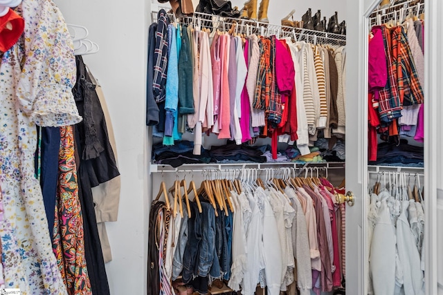 view of walk in closet