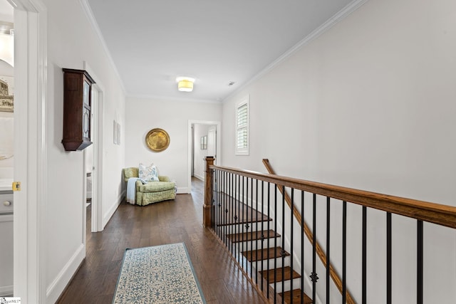 hall with dark hardwood / wood-style flooring and ornamental molding