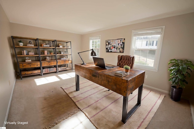 carpeted office space featuring crown molding and a wealth of natural light