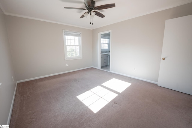 carpeted spare room with ceiling fan and crown molding