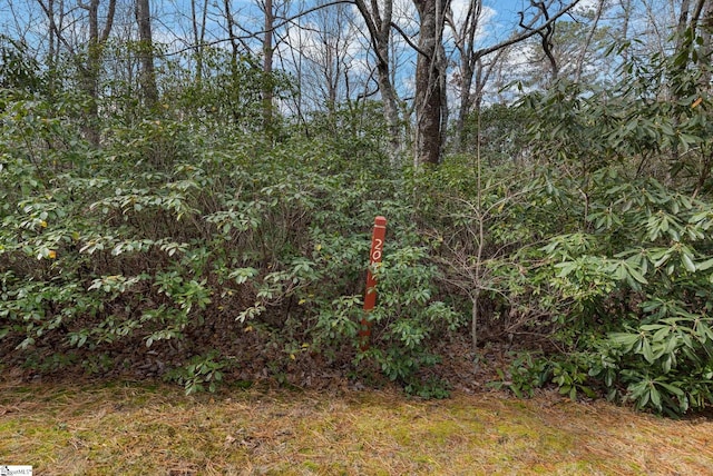 00 Conifer Falls Rd, Cleveland SC, 29635 land for sale