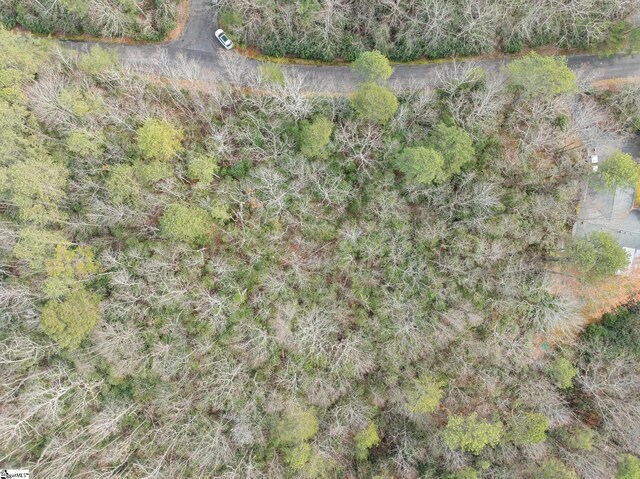 00 Conifer Falls Rd, Cleveland, SC 29635
