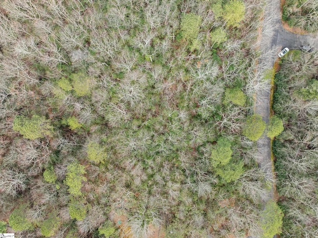00 Conifer Falls Rd, Cleveland, SC 29635