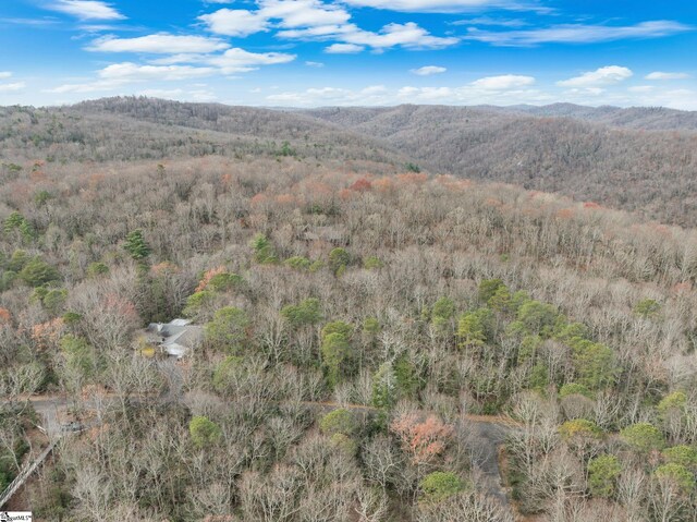00 Conifer Falls Rd, Cleveland, SC 29635