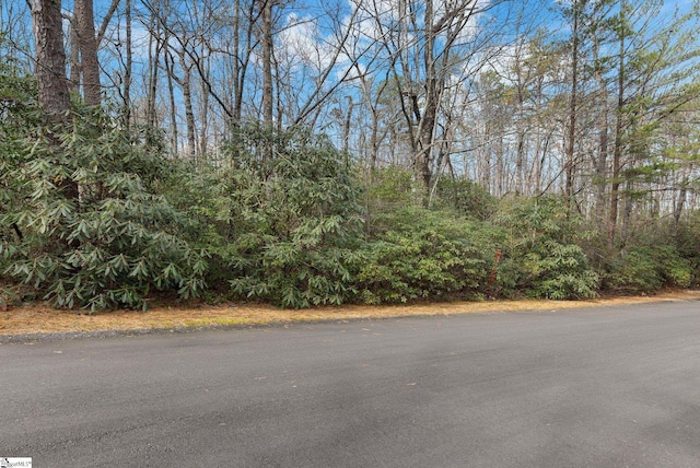 00 Conifer Falls Rd, Cleveland, SC 29635