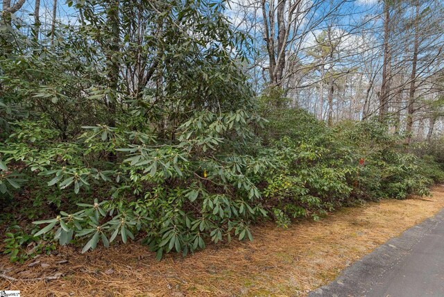 00 Conifer Falls Rd, Cleveland, SC 29635