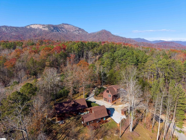 aerial view with a mountain view