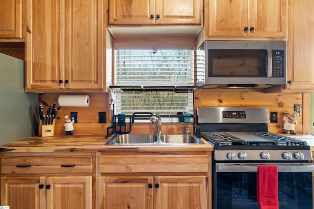 kitchen featuring sink and stainless steel appliances