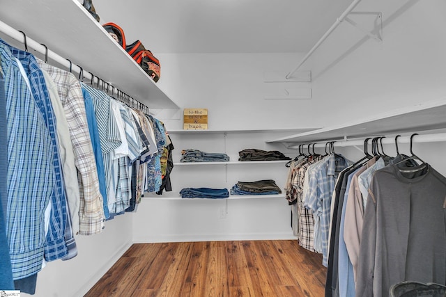 spacious closet with wood-type flooring