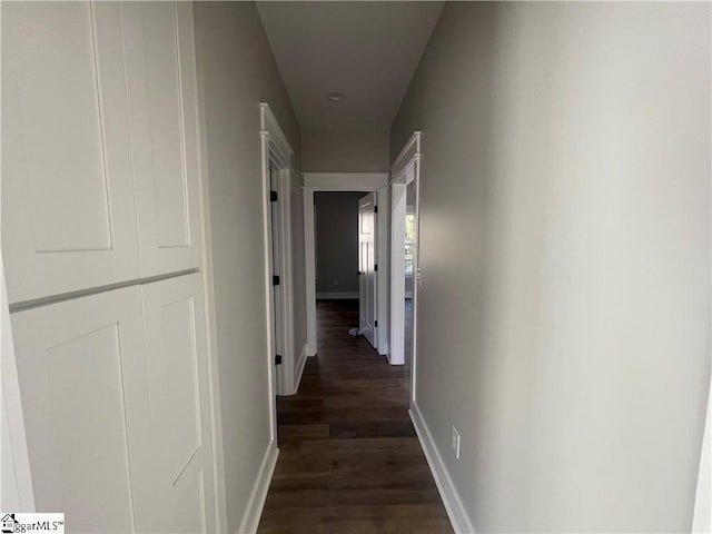 corridor featuring dark hardwood / wood-style flooring