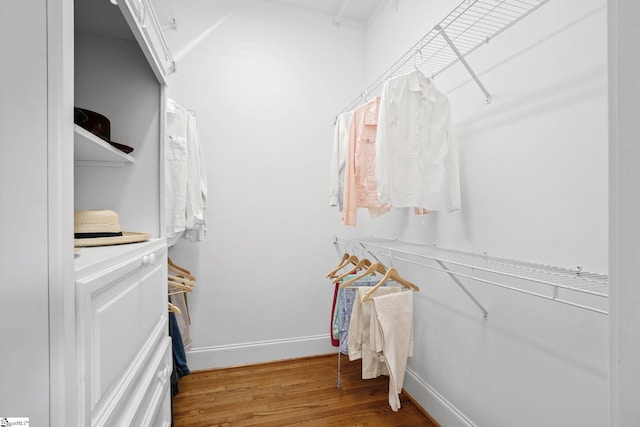 spacious closet with wood-type flooring