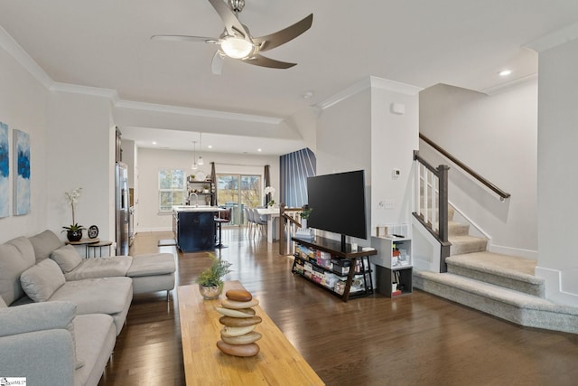 living room with sink, ceiling fan, dark hardwood / wood-style flooring, and crown molding