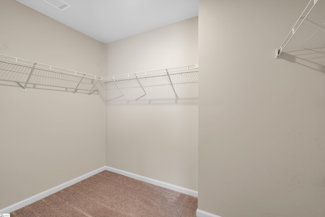 walk in closet featuring carpet floors