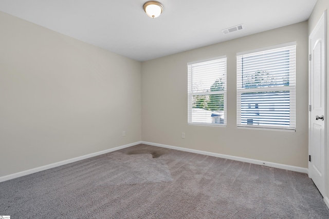 spare room featuring plenty of natural light and carpet