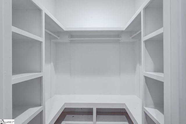 view of walk in closet