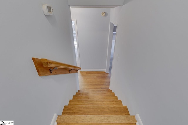 stairway with hardwood / wood-style floors