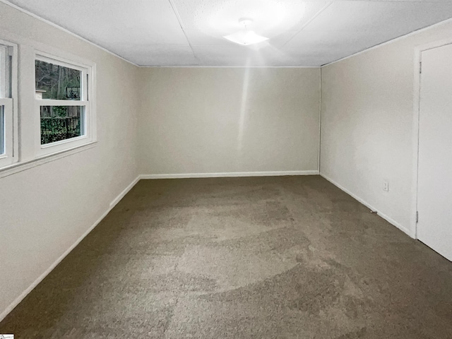 spare room with carpet floors