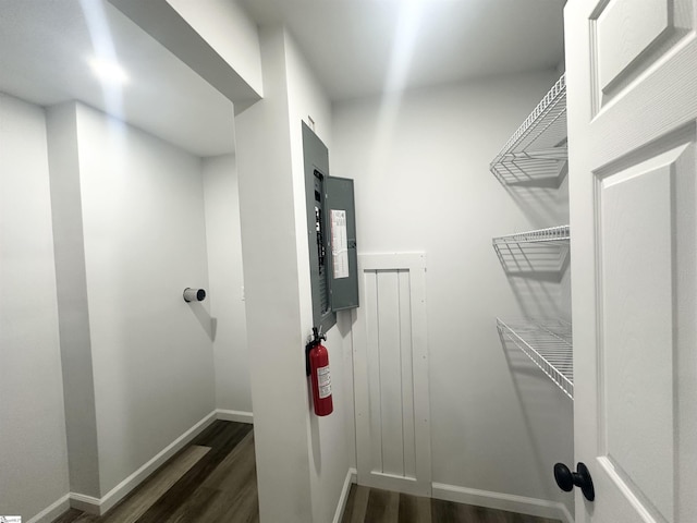 walk in closet featuring dark wood-type flooring