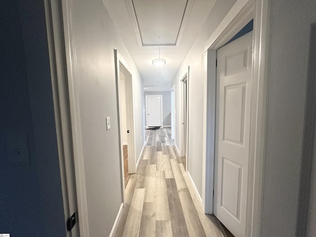 corridor with light hardwood / wood-style floors