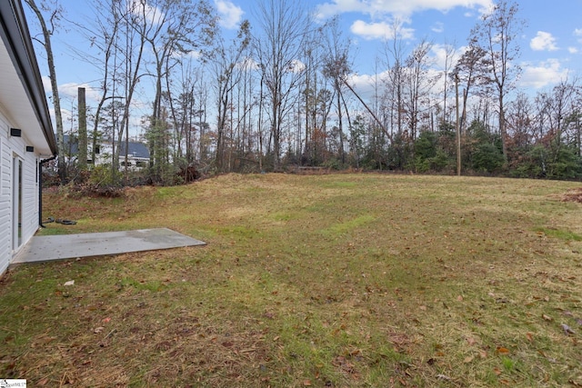 view of yard with a patio