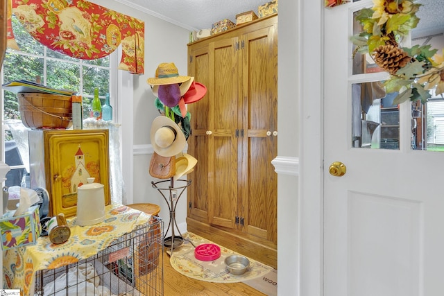 interior space featuring hardwood / wood-style flooring, plenty of natural light, crown molding, and a textured ceiling